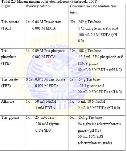 Tabel 2.3 Macam-macam bufer elektroforesis (Sambrook, 2001) 