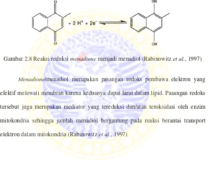 Gambar 2.8 Reaksi reduksi menadione menjadi menadiol (Rabinowitz et al., 1997)  