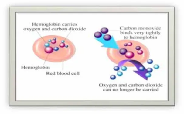 Gambar 2.4  Proses Pembentukan Karbon Monoksida 