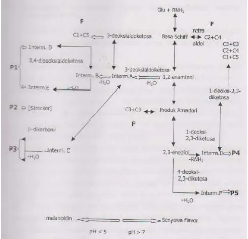 Gambar 2.5 Mekanisme reaksi Maillard (Tressl et al 1994) 