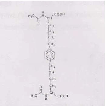 Gambar 2.6 Struktur radikal kation 1,4-bis(1-carboxy-1-ethyl) 