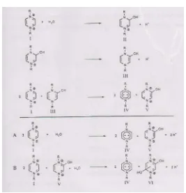 Gambar 2.9 Mekanisme Pembentukan radikal kation 1,4-