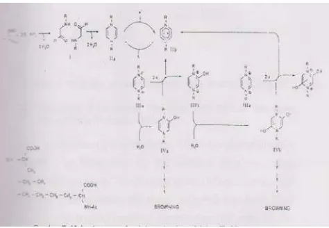 Gambar 2.10  Mekanisme pembentukan pirazin melalui radikal kation                      pirazinium 