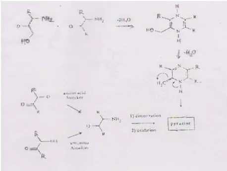Gambar 2.11  Mekanisme pembentukan pirazin melalui dimerisasi                        dan dehidrasi 