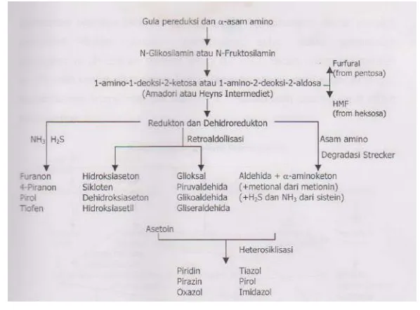 Gambar 2.1 Mekanisme Reaksi Maillard (Ho, 1996) 
