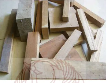 Gambar 3: Limbah kayu dalam bentuk potongan dari hasil industry mebel kayu. 