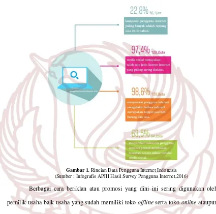 Gambar 1. Rincian Data Pengguna Internet Indonesia 