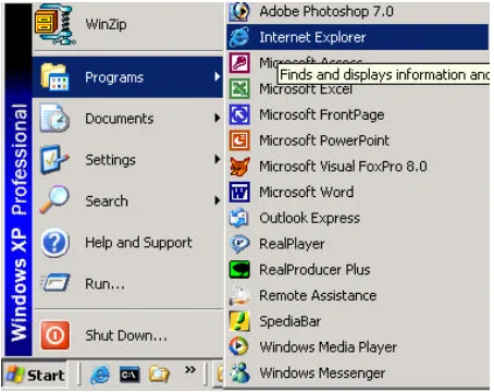 Gambar 6 Internet Explorer 