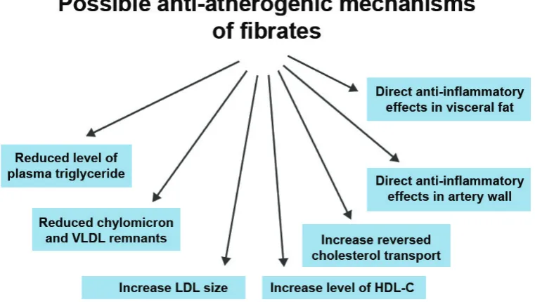 Fig. 4. Effects of ﬁbrates with the potential to protect against cardiovascular disease (Adapted from Barter PJ, 2008).
