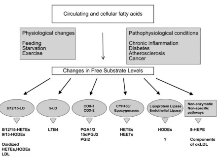 Fig. 1. Endogenous pathways for PPAR ligand production (Adapted from Michalik L, et al