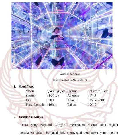 Gambar 5. Angan 