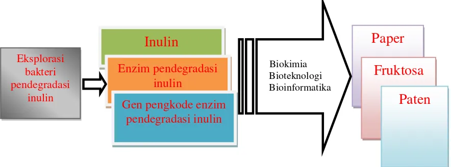Gambar 2.4. Peta jalan penelitian bakteri pendegradasi inulin 