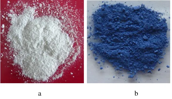 Gambar 5.1. Inulin (a) dan inulin-RBB (b) 