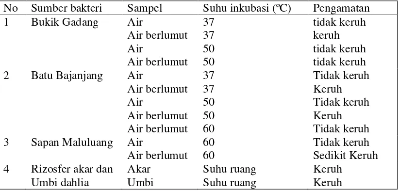 Tabel 5.2. Suhu inkubasi seleksi awal sampel pada media seleksi inulin 