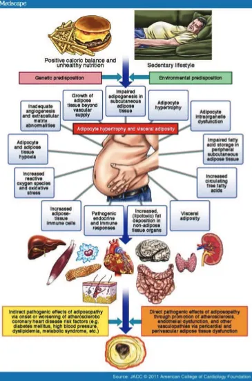 Figure 4. Adiposopathy: simplified relationship between pathogenic adipose tissue and cardiovascular disease.(21) (Adapted with permission from Elsevier Inc.)