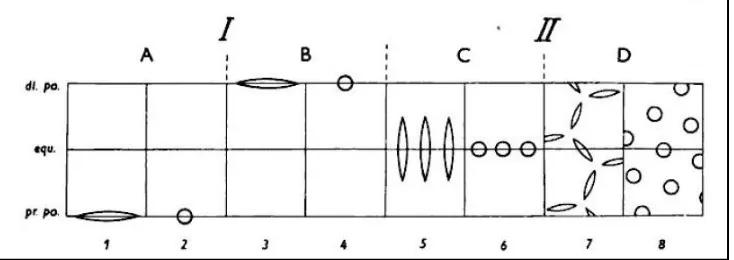 Gambar 5. Posisi dan bentuk apertur pada serbuk sari: I. aperture polar; II. Aperture nonpolar; A