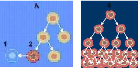 Gambar 2.1 Perbedaan aktivitas proliferasi sel normal dan sel kanker (Bilal, 2005). 