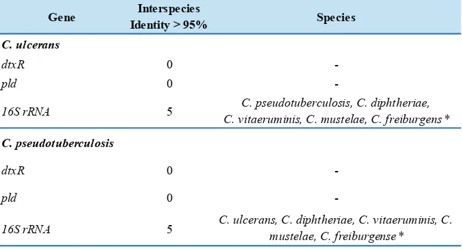 Table 1. Specificity of dtxR gene, pld gene and 16S rRNA gene .