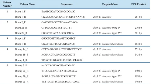 Figure 1. PCR Assay for the identification of C. ulceranspseudotuberculosisC. ulcerans;  and C