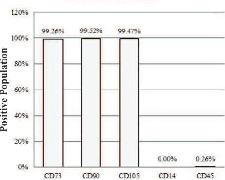 Figure 1. Characterization of hUC-MSCs. The phenotypic markers CD73, CD90, CD105, CD14, dan CD45 were assessed by flow cytometry
