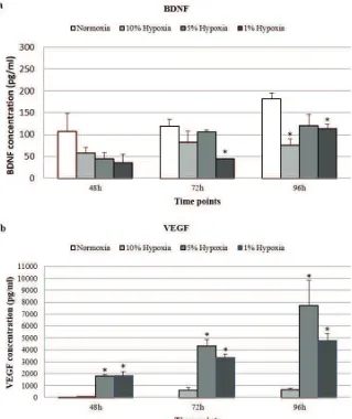 Figure 4. Comparison of neurotrophic growth factors measured in the medium under normoxic/hypoxic conditions and collected after 3 time points