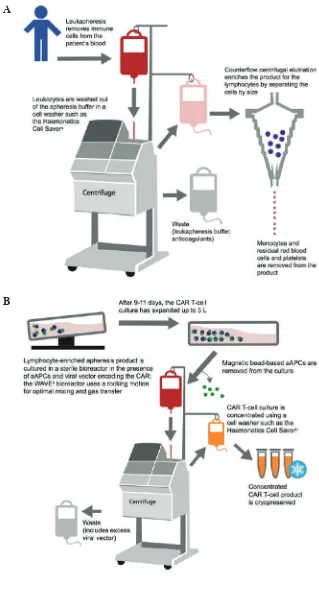 Figure 4. CAR-T manufacturing steps. A: Leukapheresis and T cell isolation. B: Cell culture and transduction.(83) (Adapted with permission from Elsevier).