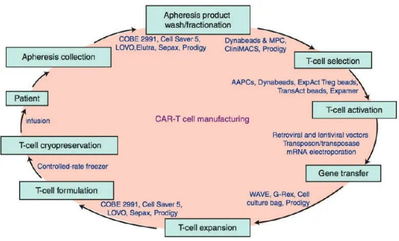 Figure 5. Major steps in chimeric antigen receptor-T cell manufacturing process and examples of available technologies and devices.(75) (Adpted with permission from Springer International Publishing AG).