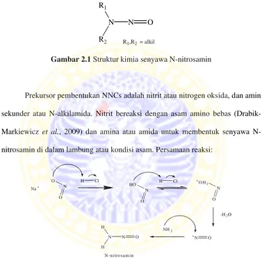 Gambar 2.1 Struktur kimia senyawa N-nitrosamin