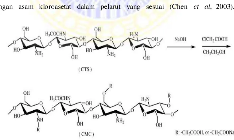 Gambar 2.5 Mekanisme reaksi karboksi metil kitosan 
