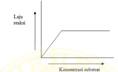 Gambar 2.4 Pengaruh konsentrasi substrat terhadap laju reaksi  (Poedjiadi, 1994)
