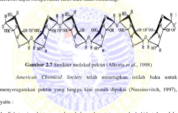 Gambar 2.7 Struktur molekul pektin (Alkorta et al., 1998)