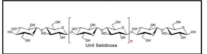 Gambar 2.1. Struktur molekul selulosa (Klemm et al, 2005) 