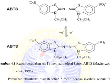 Gambar 4.1 Reaksi perubahan ABTS menjadi radikal kation ABTS (Macherczyk 