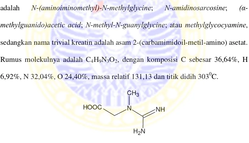 Gambar 2.1 Struktur kreatin 