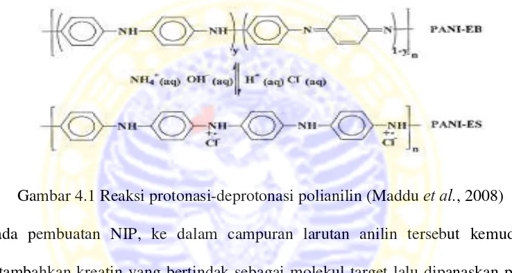 Gambar 4.1 Reaksi protonasi-deprotonasi polianilin (Maddu et al., 2008) 