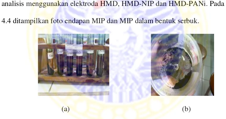 Gambar 4.4 (a) Foto endapan MIP hasil sentrifugasi, (b) MIP berbentuk serbuk 