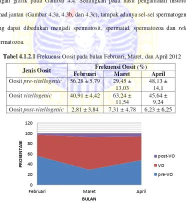 Tabel 4.1.2.1 Frekuensi Oosit pada bulan Februari, Maret, dan April 2012 