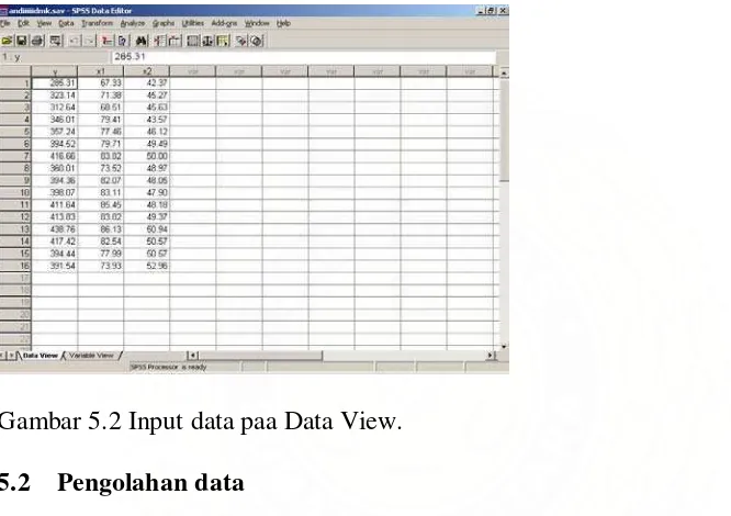 Gambar 5.2 Input data paa Data View. 
