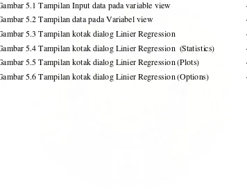 Gambar 5.1 Tampilan Input data pada variable view  