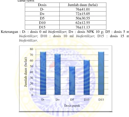 Tabel 4.1 Pengaruh dosis cabai rawitdosis pupuk hayati (biofertilizer) terhadap jumlah jumlah daun (helai) 