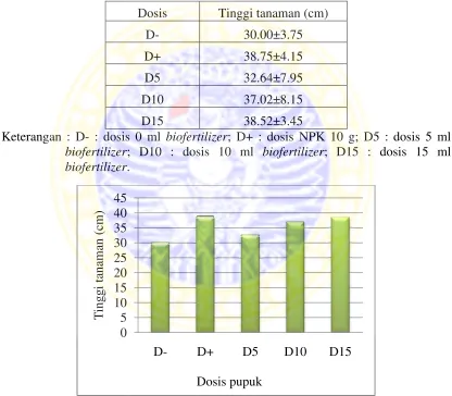 Tabel 4.2 Pengaruh dosis cabai rawitdosis pupuk hayati (biofertilizer) terhadap tinggi tanamantinggi tanaman (cm)  