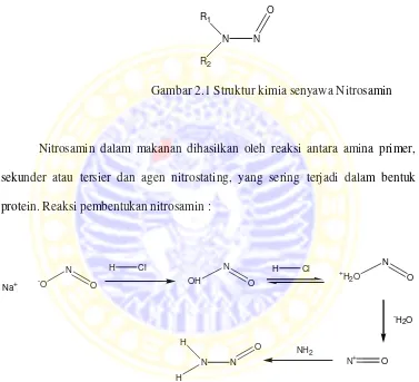 Gambar 2.1 Struktur kimia senyawa Nitrosamin 