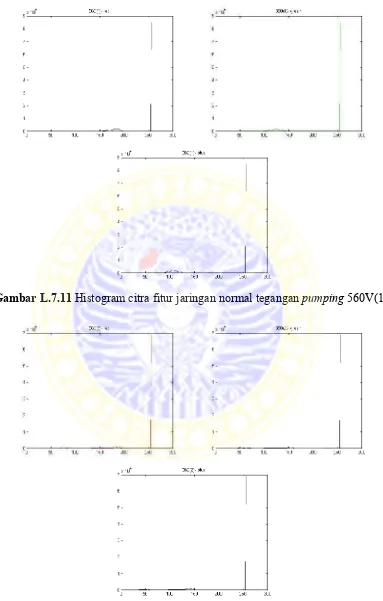 Gambar L.7.11 Histogram citra fitur jaringan normal tegangan pumping 560V(1)