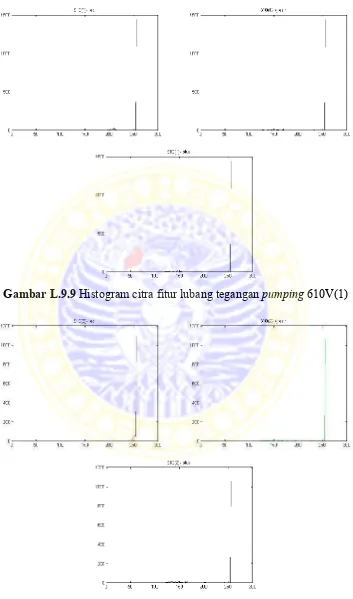 Gambar L.9.9 Histogram citra fitur lubang tegangan pumping 610V(1)