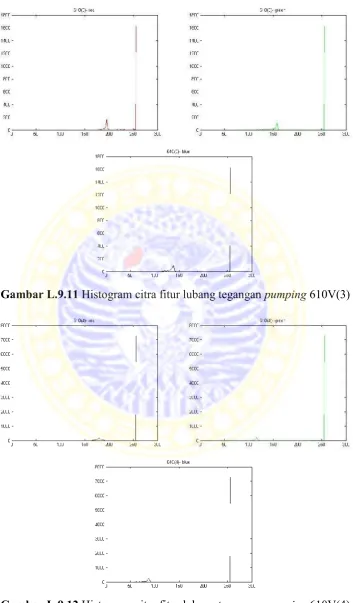 Gambar L.9.12 Histogram citra fitur lubang tegangan pumping 610V(4)