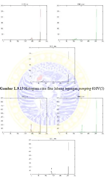 Gambar L.9.13 Histogram citra fitur lubang tegangan pumping 610V(5)