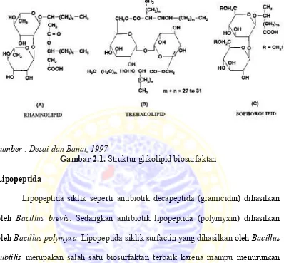 Gambar 2.1. Struktur glikolipid biosurfaktan 
