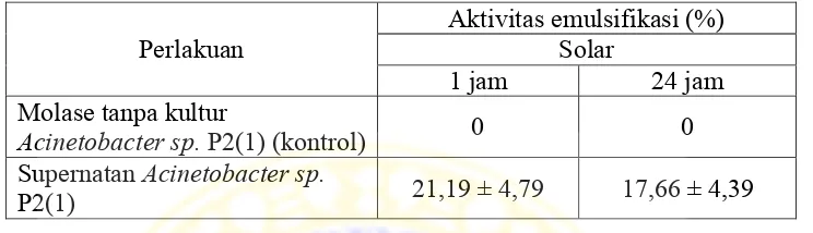 Tabel 4.2 Nilai aktivitas emulsifikasi supernatan kultur Acinetobacter sp. P2(1) terhadap minyak uji solar pada waktu inkubasi 1 jam dan 24 jam (%)  