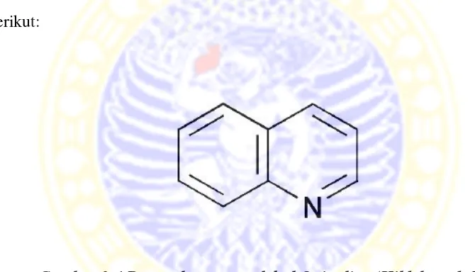 Gambar 2.4 Rumus bangun molekul Quinoline (Hildebrand, 2001) 