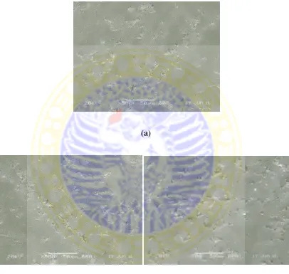 Gambar 4.14Hasil uji mikroskop optik spesimen baja SS-316L dalam larutan 